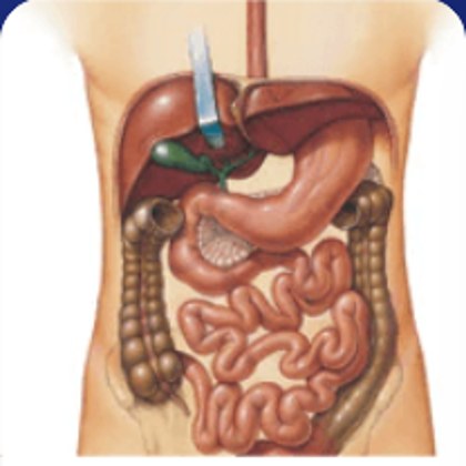 Tiêu hóa – gan mật